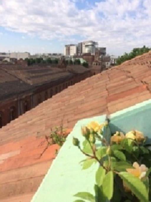 Mansardina Boheme Tra Il Duomo E L'universita Apartment *